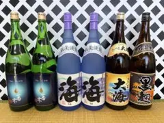 厳選日本酒1升瓶6本セット2026年5月入荷分 - メルカリ