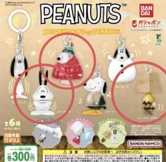PEANUTS めじるしアクセサリー FUNNY ver. 3個セット