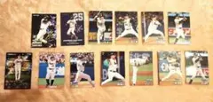 2024・2025 プロ野球チップスカード 東京ヤクルトスワローズ13枚セット