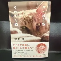 Item thumbnail for item eb2870d7-2966-4892-806d-5a2b13ca70c7