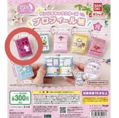 サンリオキャラクターズ プロフィール帳　チャーミーキティ ガチャガチャ