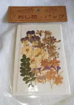 押し花パック9.3cm x 13.6cm 未開封品