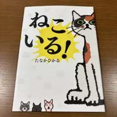 Я様 リクエスト 2点 まとめ商品