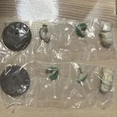 モンスターハンター 捕獲し隊4 チャタカブラ　2個　J