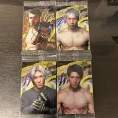 RIZINウエハース2 カード