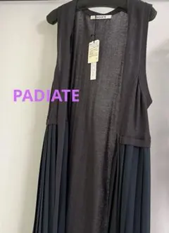 ⭐︎タグ付き未使用　RADIATE/ロングプリーツジレ