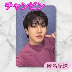 StrayKids スキズ DO IT アコーディオン トレカ チャンビン