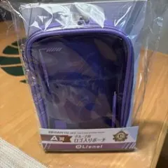 Item thumbnail for item c5ef430d-561a-4868-8088-f717dccf0cae