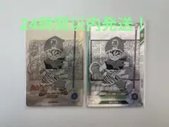 ★早い者勝ち★ ドラゴンボール　APT-007 孫悟飯:幼年期　パラレル