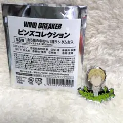 WIND BREAKER　ウィンドブレーカー ピンズコレクション　楡井秋彦