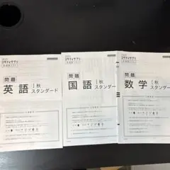 2025 秋スタンダード 到達度テスト 国数英