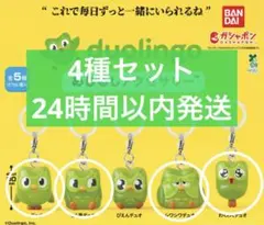 duolingo めじるしアクセサリー　ガチャ　4種セット