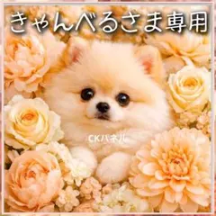 【受注制作】両面ミニトート