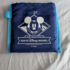 お値下げ‼️東京ディズニーリゾート ミッキーマウス エコバッグ