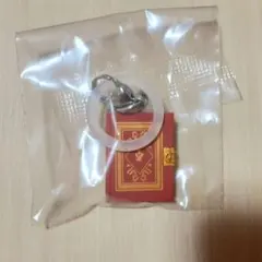明日のナージャ めじるしアクセサリーのサムネイル