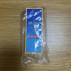 【新品未開封】 資生堂 サンケア UVリップカラースプラッシュ ウルルレッドのサムネイル
