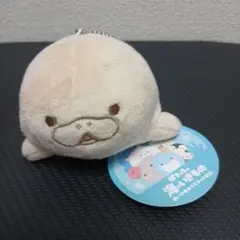 サンエックス まめゴマ てのり クリオネのあかちゃん 水族館