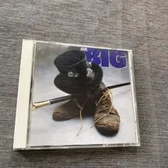 #4 MR. BIG