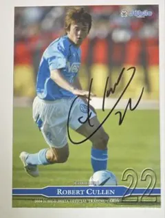 Item thumbnail for item 6b68d0d1-19f4-4ff7-b176-1bb2f9823645