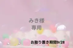 みき様❁⃘*.゜専用ページ