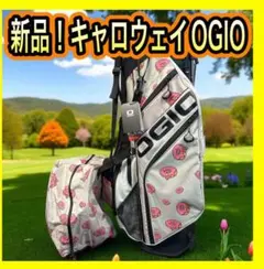 Item thumbnail for item 54bd7b0c-f274-4fa7-b7c8-4d3f41f05708