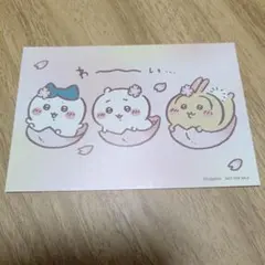 【限定】ちいかわ　さくら　ノベルティ　カード　ちいかわランド　特典　ノベルティ