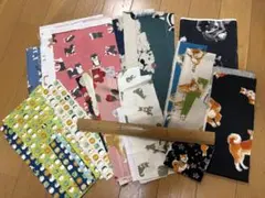 Item thumbnail for item 6a6f4a1f-6cc6-4edb-8128-77f0ebb6f1a9