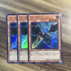 ハイウェイスター様 リクエスト 2点 まとめ商品