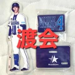 【未使用品】横浜DeNAベイスターズ　アクリルスタンド（渡会選手）
