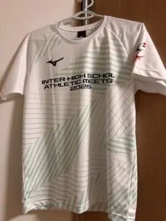 Item thumbnail for item 19a0576d-25c5-4495-87ca-d96eeefcf298