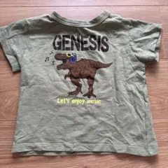 DILASH 恐竜 Tシャツ 100cmのサムネイル