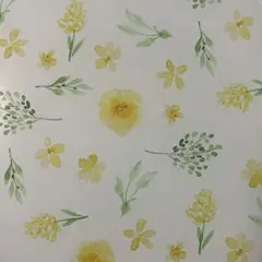 ちゃんみー様専用