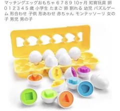 マッチングエッグ モンテッソーリおもちゃ