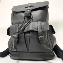 未使用保管品✨️コーチ リュック ハドソン ビジネスバッグ オールレザー ブラック