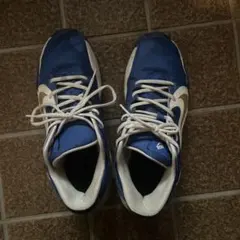 Nike Air Zoom スニーカー 青/白