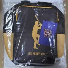 Item thumbnail for item 8c5071b7-edbf-4fd1-a7b4-09337b0b276a