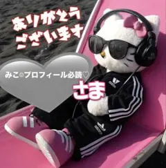 みこ‪︎︎︎︎☺︎プロフィール必読♡様専用