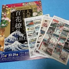 大英博物館 日本美術コレクション 百花繚乱 レギュラーコーヒー×4袋