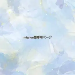 専用ページ