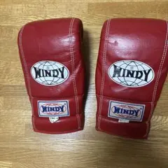 WINDY パンチンググローブ TBG 4 Lサイズ - メルカリ