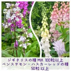 こま様 リクエスト 3点 まとめ商品