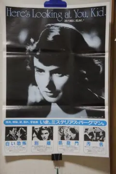ナタリー・ドロン「新個人教授」本国フランスオリジナル映画ポスター