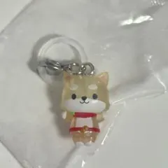 JOCHUM ジェオチャム　めじるしアクセサリー　カプセルトイ　まめちぃ