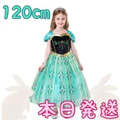 クリスマス コスプレ 子供 仮装 120 プリンセス ワンピース 女の子 キッズ