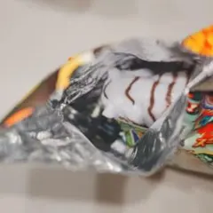 【早い者勝ち】【C2】ジャングル アンドコ ベンガルトラ 非接触