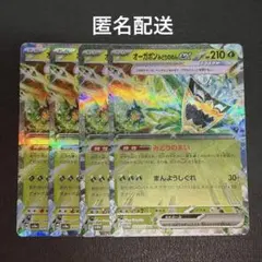 (匿名配送) オーガポン みどりのめんex RR 4枚セット