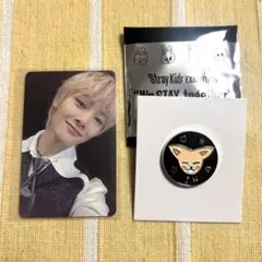 Straykids スキズ　アイエン　FoxI.Ny 展覧会　ピンバッジ　トレカ