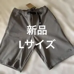 Lサイズ　THE NORTH FACE ショートパンツ グレー系