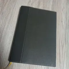 Item thumbnail for item e18ea317-a437-4cd2-9457-3ff5f1f0b082