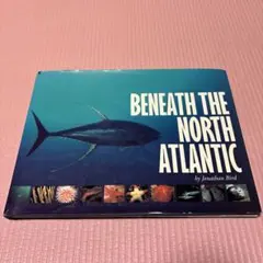 Newton アトラス 日本列島 きょういく社 - メルカリ